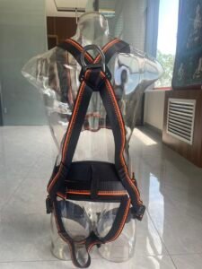 Back view-safety harness